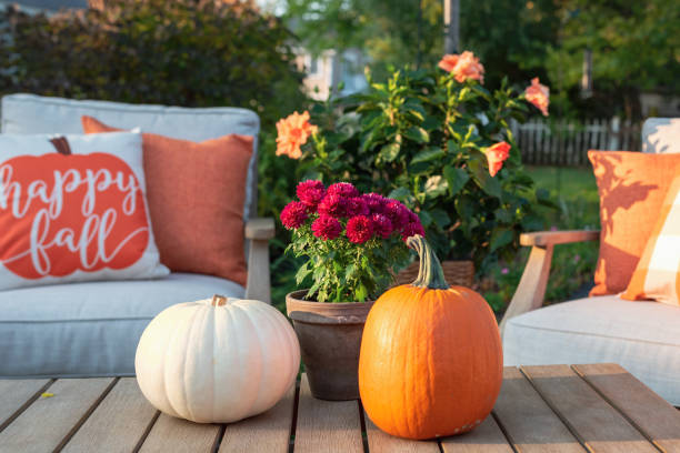 Outdoor seating in the backyard styled for fall
