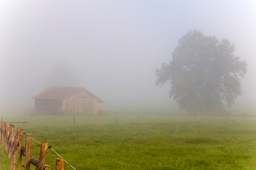 Rural autumn landscape with a barn in fog with rising sun at early morning.