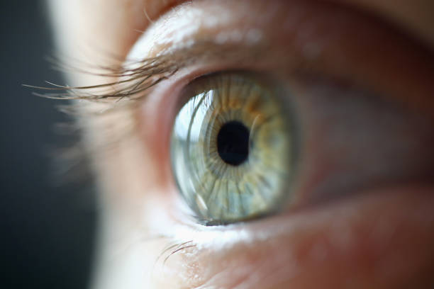 istock Blue eye with eyelashes close up. 1280059303