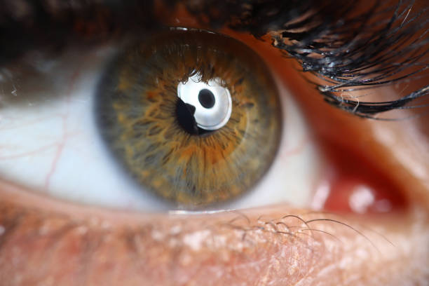 istock Female green-brown eye close up. 1280059337