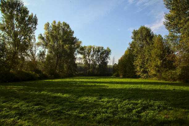 istock Open space in a park in autumn in the morning 1280060394