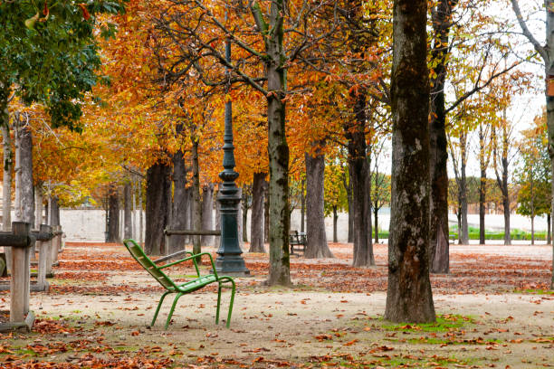 paris : jardin des tuileries en automne. - jardin luxembourg photos et images de collection