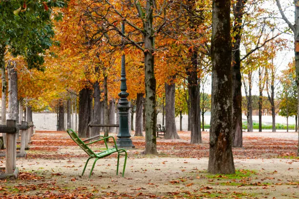 Paris : Jardin des Tuileries in autumn. No people during pandemic Covid19 in France, in autumn 2020. Paris in France. October, 13, 2020