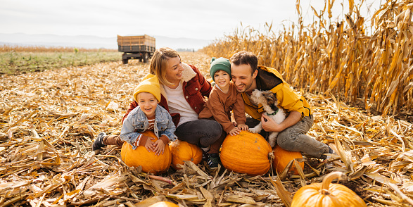 Photo of a happy young family and their dog enjoying their autumn days on a pumpkin field; family exploring pumpkin patches in the fall and preparing for the upcoming holidays.