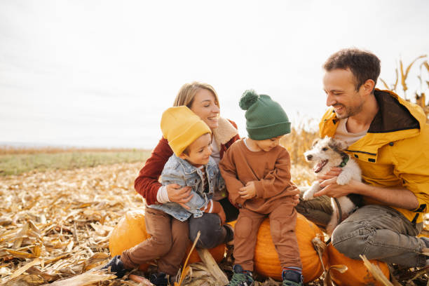 istock Family in a pumpkin patch 1280061893