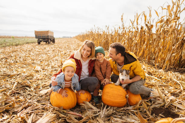 istock Family in a pumpkin patch 1280061895