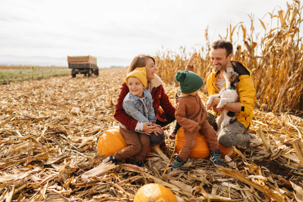 istock Family in a pumpkin patch 1280061995