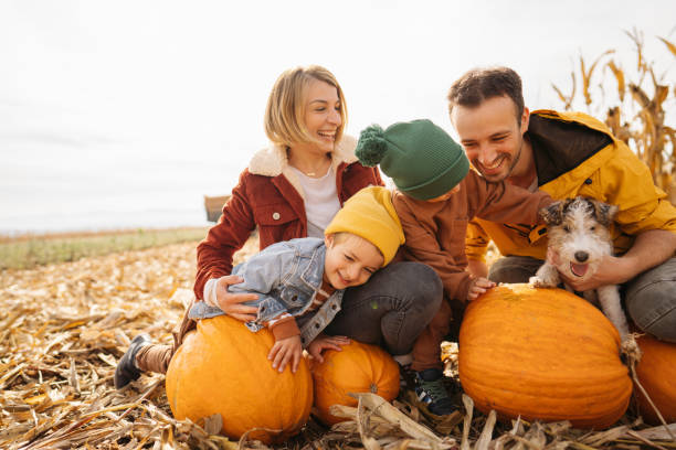 istock Family in a pumpkin patch 1280061997