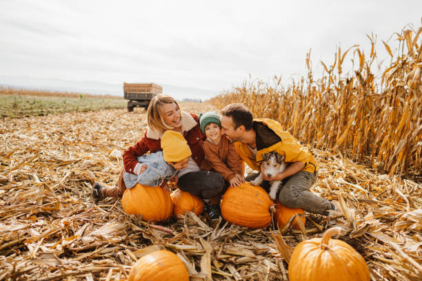 istock Family in a pumpkin patch 1280062742