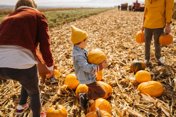 istock Pumpkin patch adventure with dad and mom 1280062867