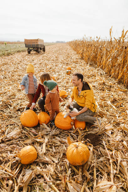 istock Family in a pumpkin patch 1280063006