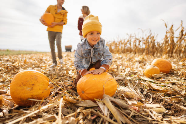 istock Pumpkin patch adventure with dad and mom 1280063009