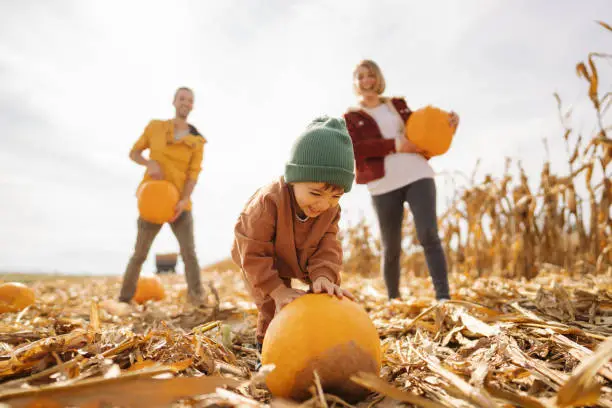 Photo of a young family picking pumpkins on a lovely pumpkin patch; family on a Halloween pumpkin patch adventure; fall family activities.
