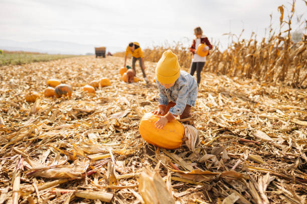 istock Pumpkin patch adventure with dad and mom 1280063103