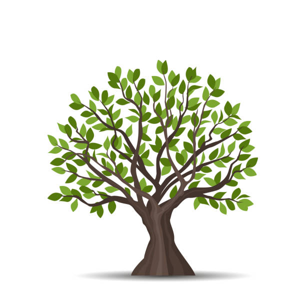 Top 148+ Imagenes de arbol de la vida para dibujar Top 148+ Imagenes de arbol de la vida para dibujar