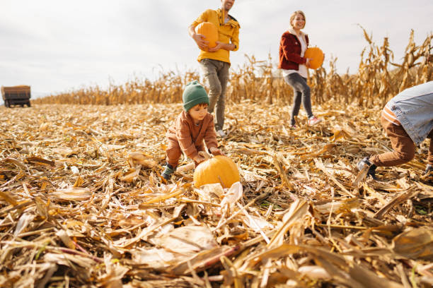 istock Family on a pumpkin patch adventure 1280063706