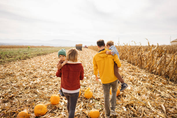 istock Young family on a pumpkin field 1280063854