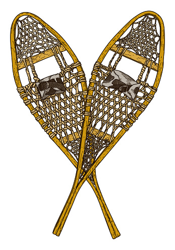 A detailed pair of old-fashioned snowshoes drawn in a delicate line art style. Grouped and using global colours.