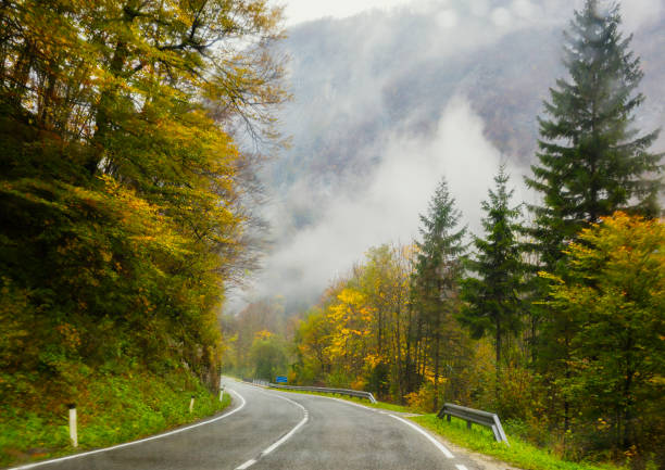Autumn colors at the woods in Slovenia with empty road