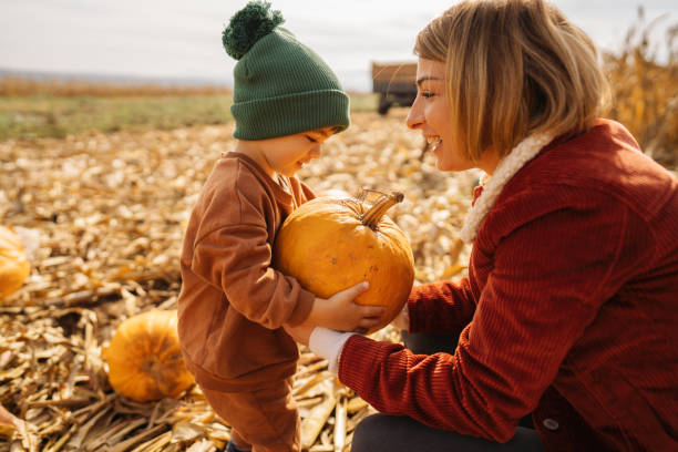 finding a perfect pumpkin for our jack-o'-lantern - pumpkin patch imagens e fotografias de stock