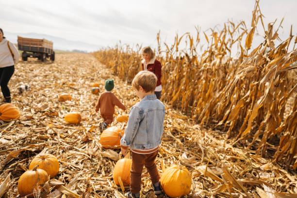 istock Finding a perfect pumpkin for our Jack-O'-Lantern 1280067462