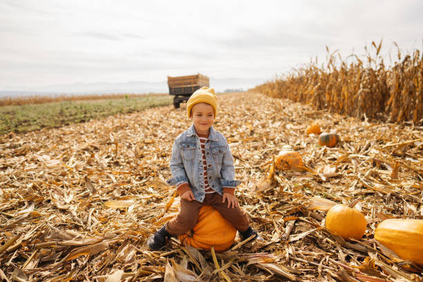 istock I found my perfect pumpkin! 1280067579