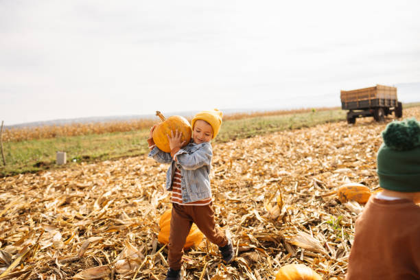 istock Little boy collecting pumpkins 1280067811