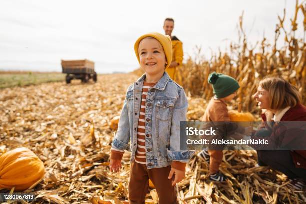 Pumpkin Patch Adventure With Our Dad And Mom Stock Photo - Download Image Now - Autumn, Family, Pumpkin Patch