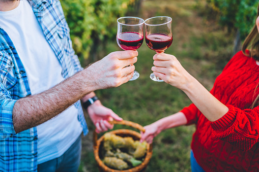 Young caucasian couple toasting wineglasses in vineyard