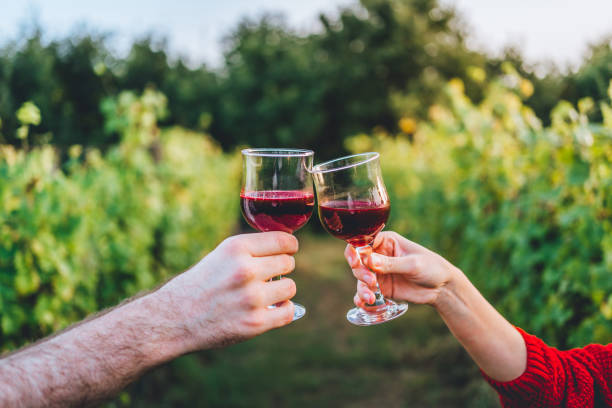 istock Couple toasting wineglasses in vineyard 1280069634