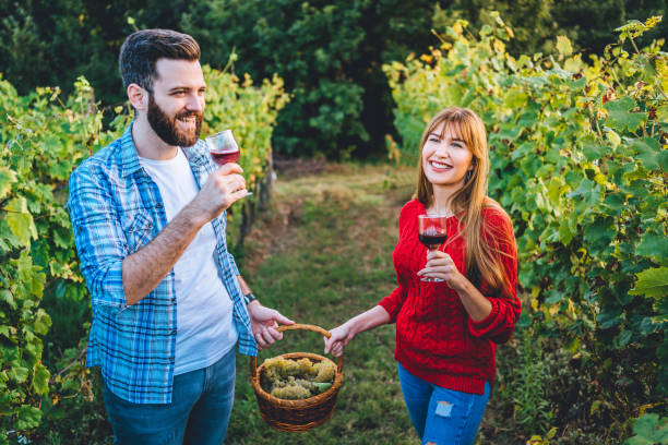 istock Couple enjoying the vineyard 1280069783