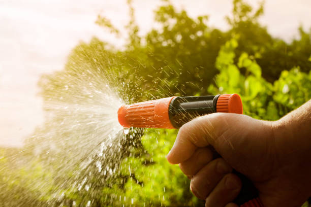istock Hand holding and working with water spray gun. 1280070620