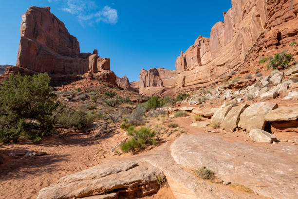 istock Arches National Park in October sunshine 1280071574