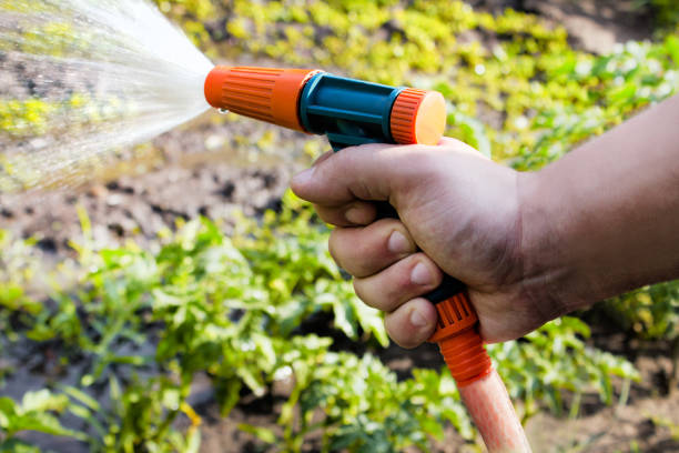 istock Male hand working with spray water gun. 1280071979