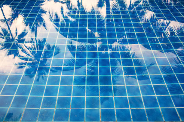 istock Reflection of palm trees over swimming pool 1280074102