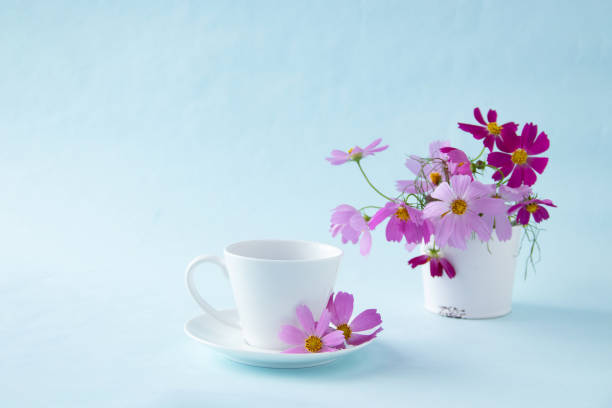 istock cosmos flower and coffee 1280074194