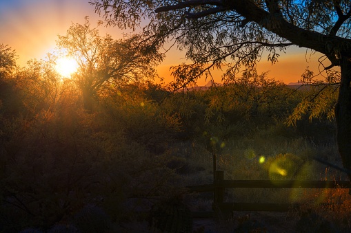 This beautiful image shows an early evening remote desert sunset.