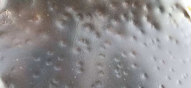 Gouges Surface Finish 220+ Gouges Stock Photos, Pictures & Royalty-Free Images - iStock