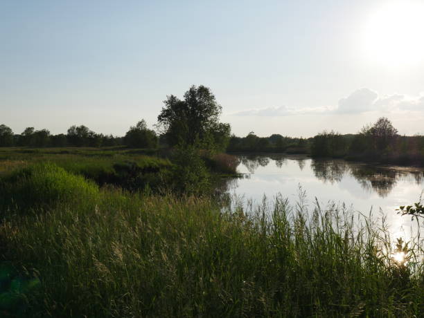 istock Landscape of nature. Summer. River and trees. 1280077637