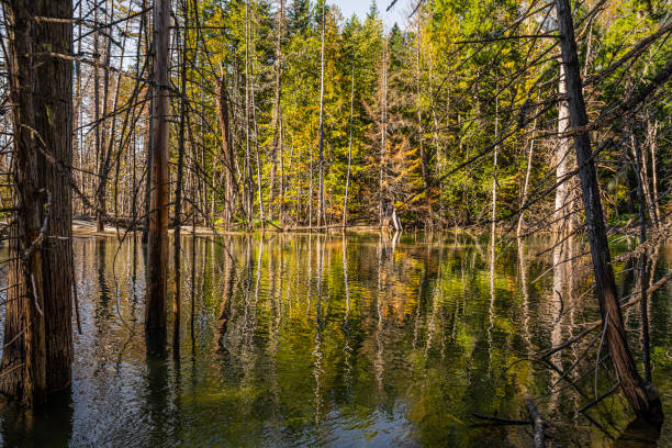 The colorful Atnarko River in Tweedsmuir Provincial Park.