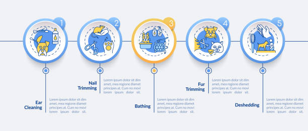 Grooming Flowchart 10+ Dog Grooming Charts Stock Photos, Pictures & Royalty-Free Images ...