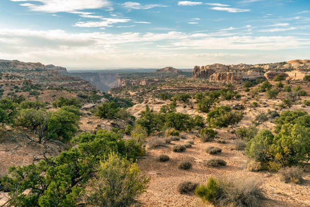 istock Canyonlands National Park Utah 1280088507