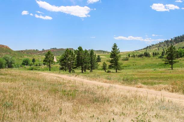 istock Trees and hills of Lory State Park Colorado 1280091913