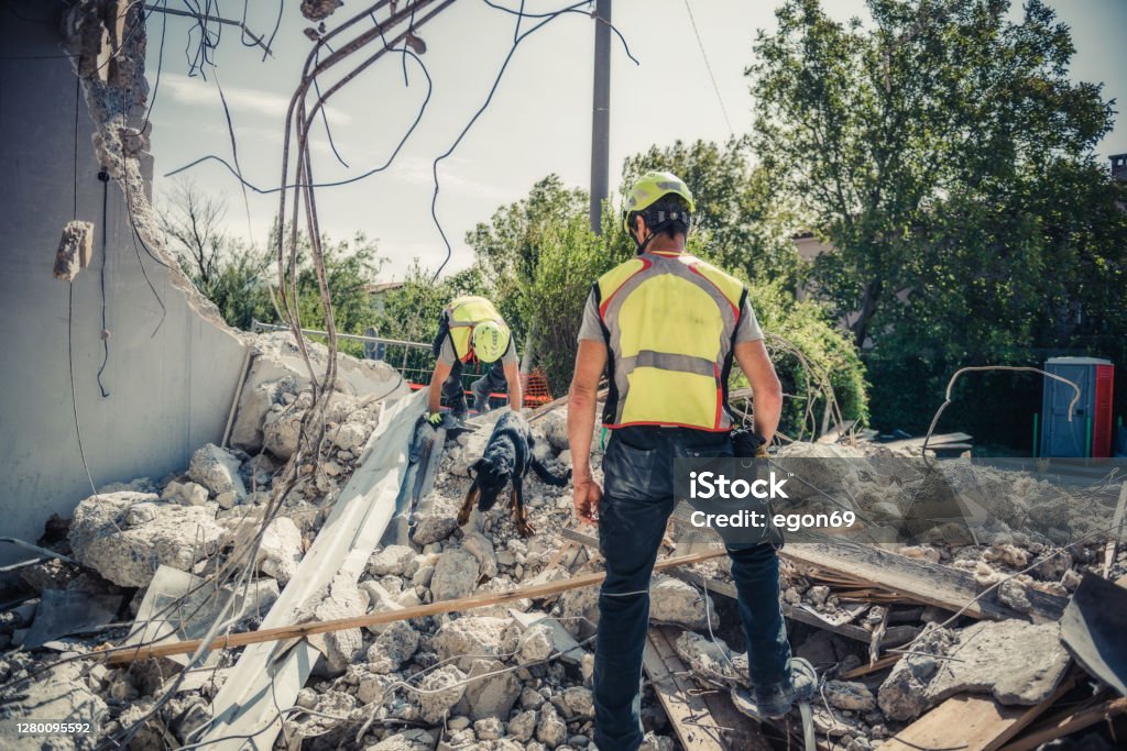 Rescuer search with help of rescue dog Rescuer search trough ruins of building with help of rescue dog. Rescue Stock Photo