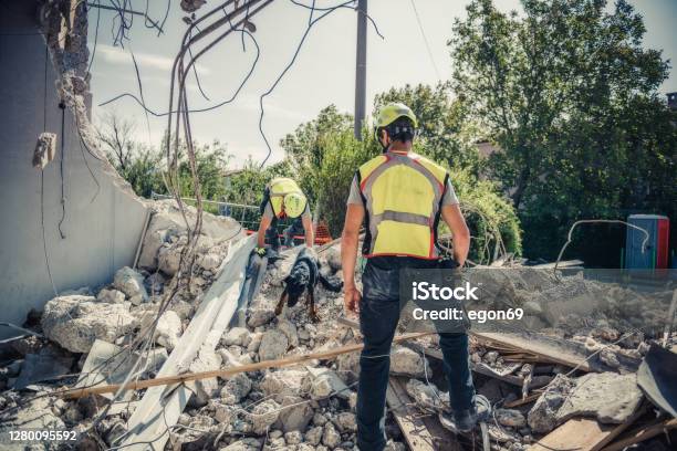 Rescuer Search With Help Of Rescue Dog Stock Photo - Download Image Now - Rescue, Earthquake, Search And Rescue Dog