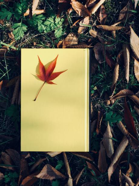 istock Yellow book and autumn maple leaves 1280099215