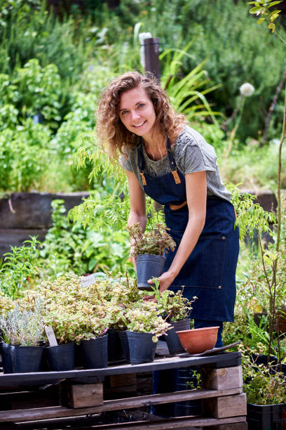 istock Woman working in plant nursery 1280100074
