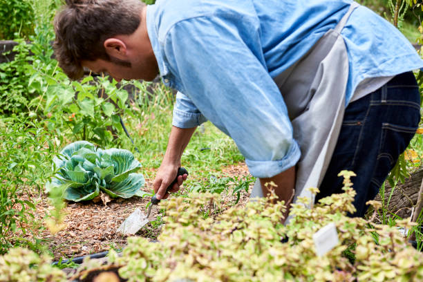 istock Man working in plant nursery 1280100115