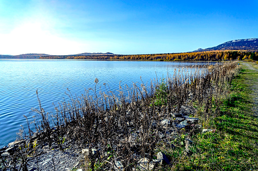 Golden autumn in the vicinity of lake Zyuratkul, colorful trees, Ural mountains, picturesque landscape