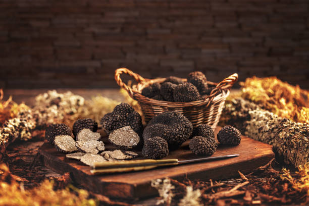 Expensive black truffle mushrooms stock photo